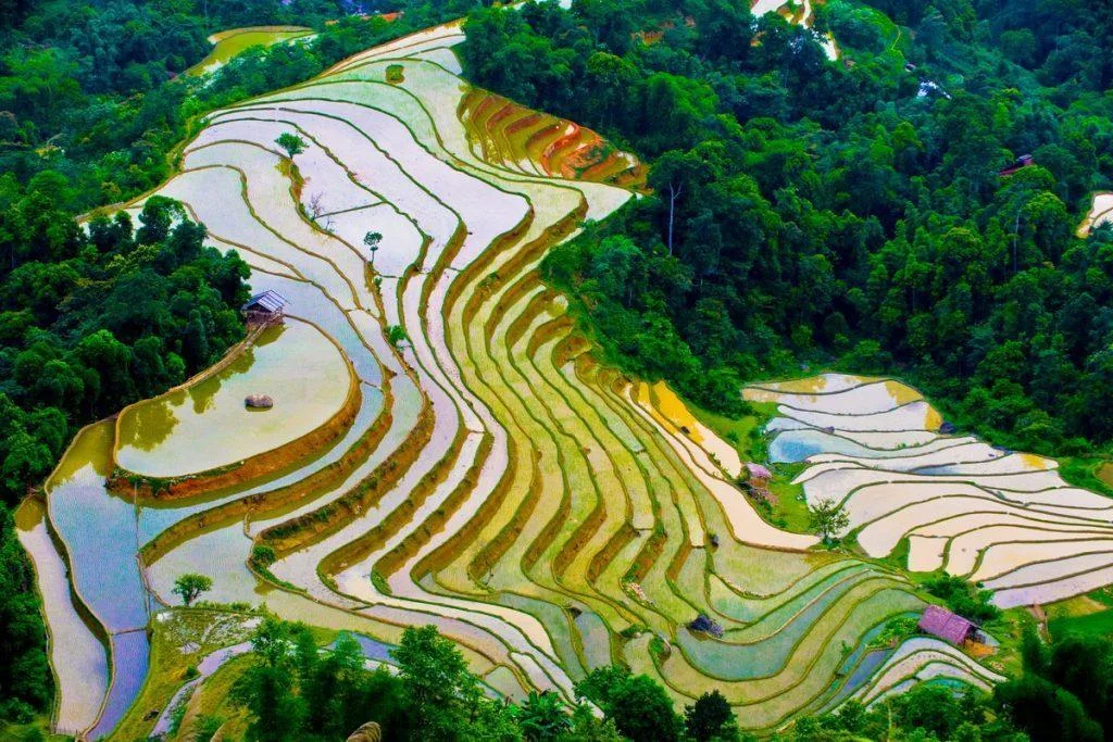Du lịch Hoàng Su Phì Hà Giang