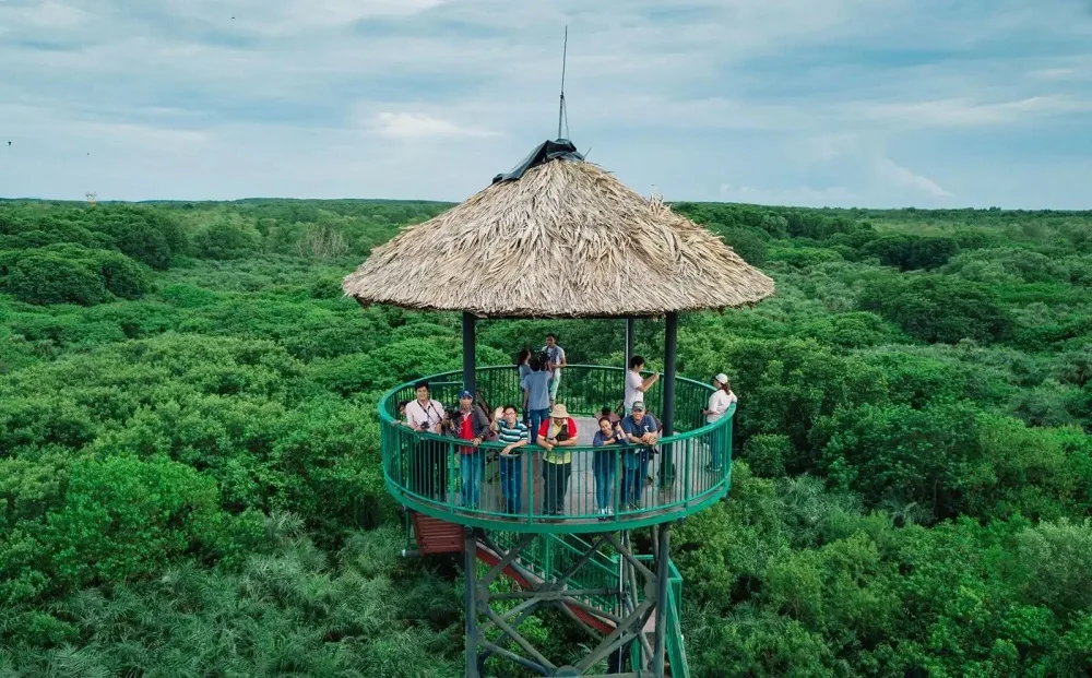 Kinh Nghiệm Đi Tour Du Lịch Miền Tây 1 Ngày: Ăn Gì Chơi Gì?