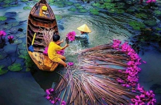 Kinh Nghiệm Đi Tour Du Lịch Miền Tây 1 Ngày: Ăn Gì Chơi Gì?