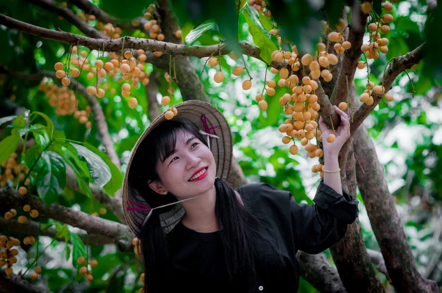 Đặc sản Tiền Giang làm quà