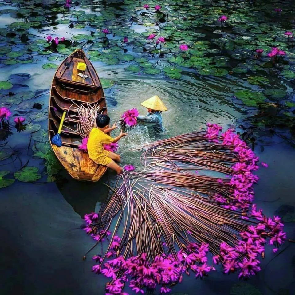 Kinh Nghiệm Đi Tour Du Lịch Miền Tây 1 Ngày: Ăn Gì Chơi Gì?