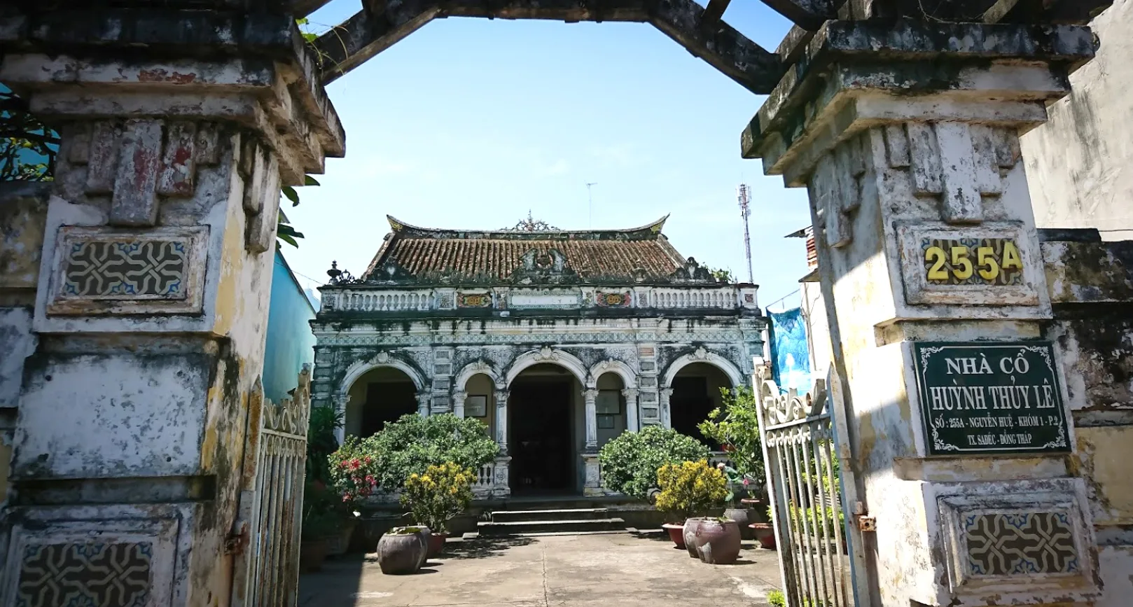 Tour 1 Ngày Sa Đéc | Làng Hoa Sa Đéc & Vườn Quýt Hồng Lai Vung