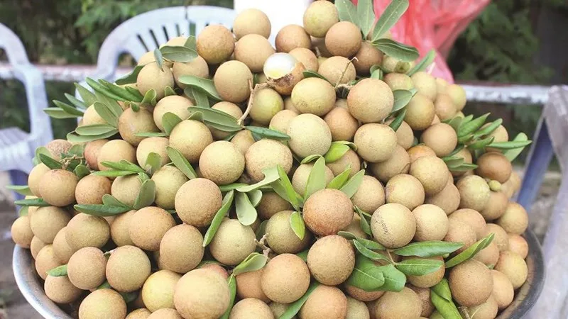 Đặc sản Tiền Giang làm quà