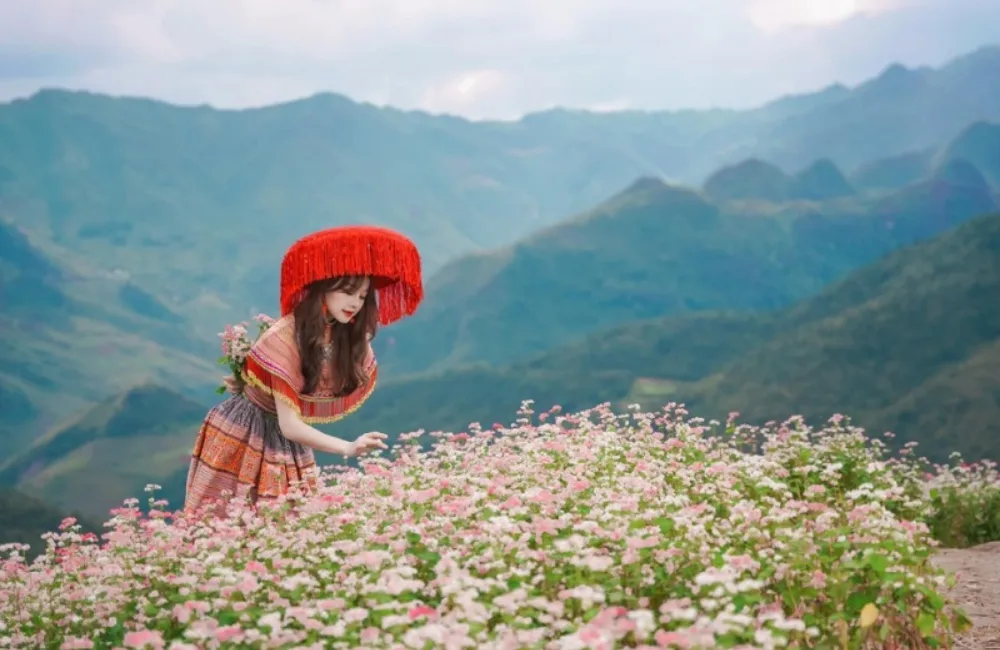 Tour Hà Giang 3N2Đ chinh phục cao nguyên đá