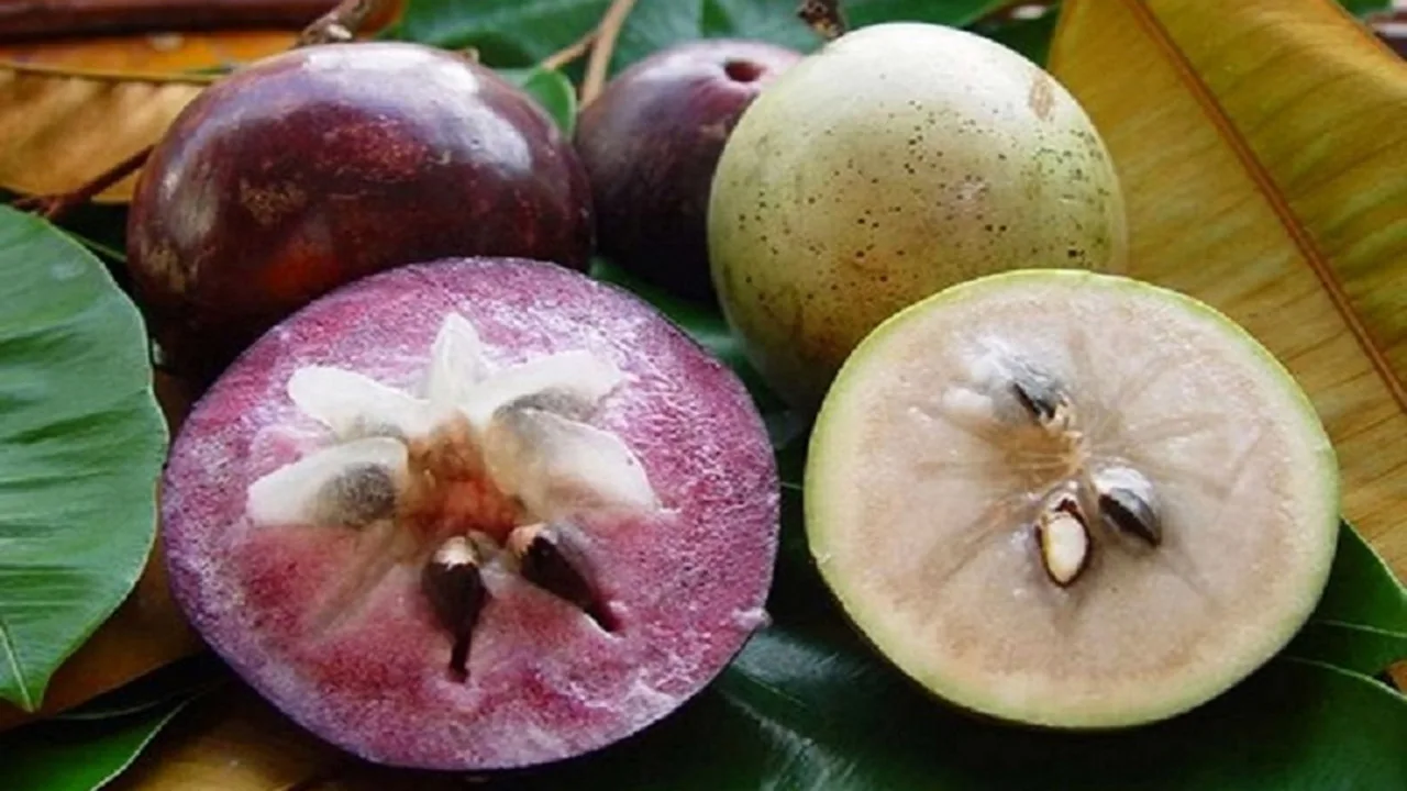 Đặc sản Tiền Giang làm quà