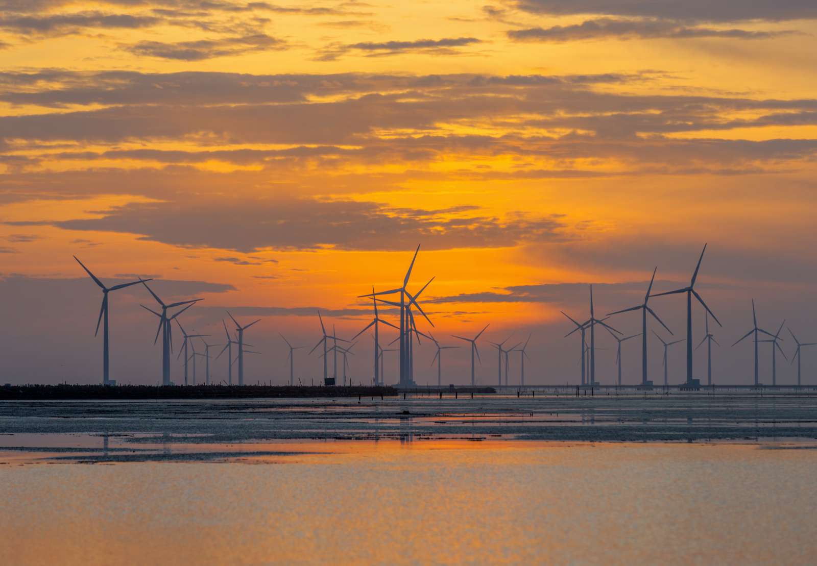 du-lich-mien-tay-canh-dong-dien-gio-bac-lieu